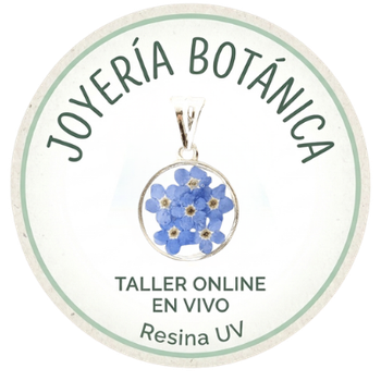 Flores en Joyas Online en Vivo - Nivel Inicial